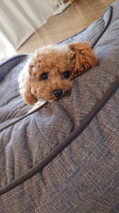 image0.jpeg