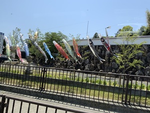 image0.jpeg