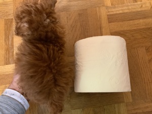 image0.jpeg