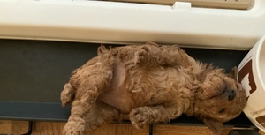 image1.jpeg